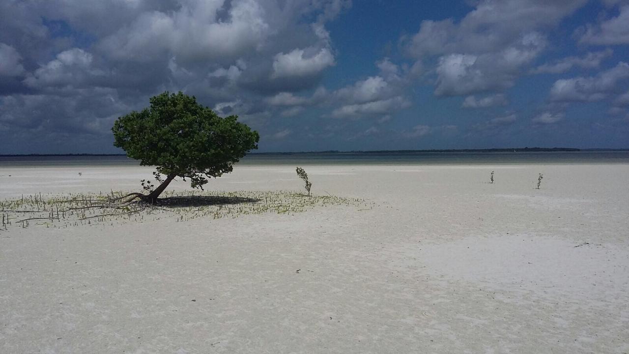 Emma Bay Beach House Michamvi Kae Luaran gambar