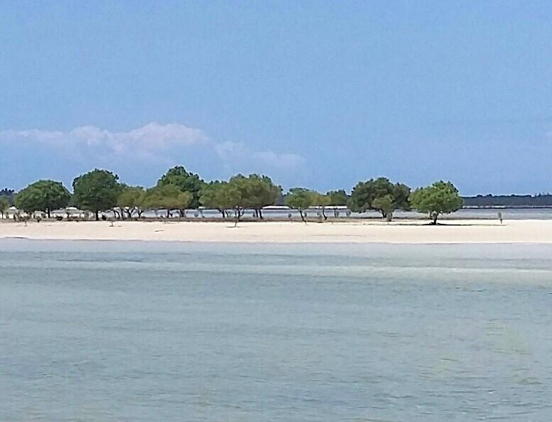 Emma Bay Beach House Michamvi Kae Luaran gambar